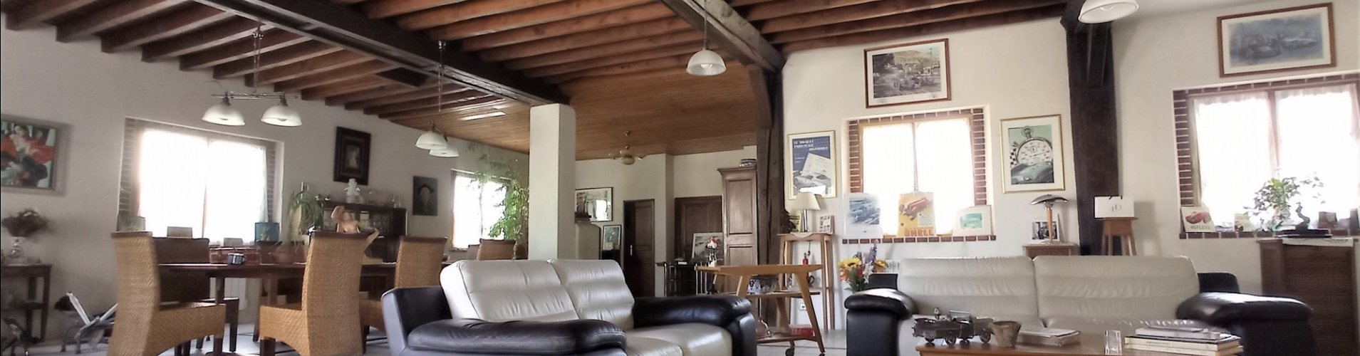 Pièce de vie spacieuse, salon-séjour